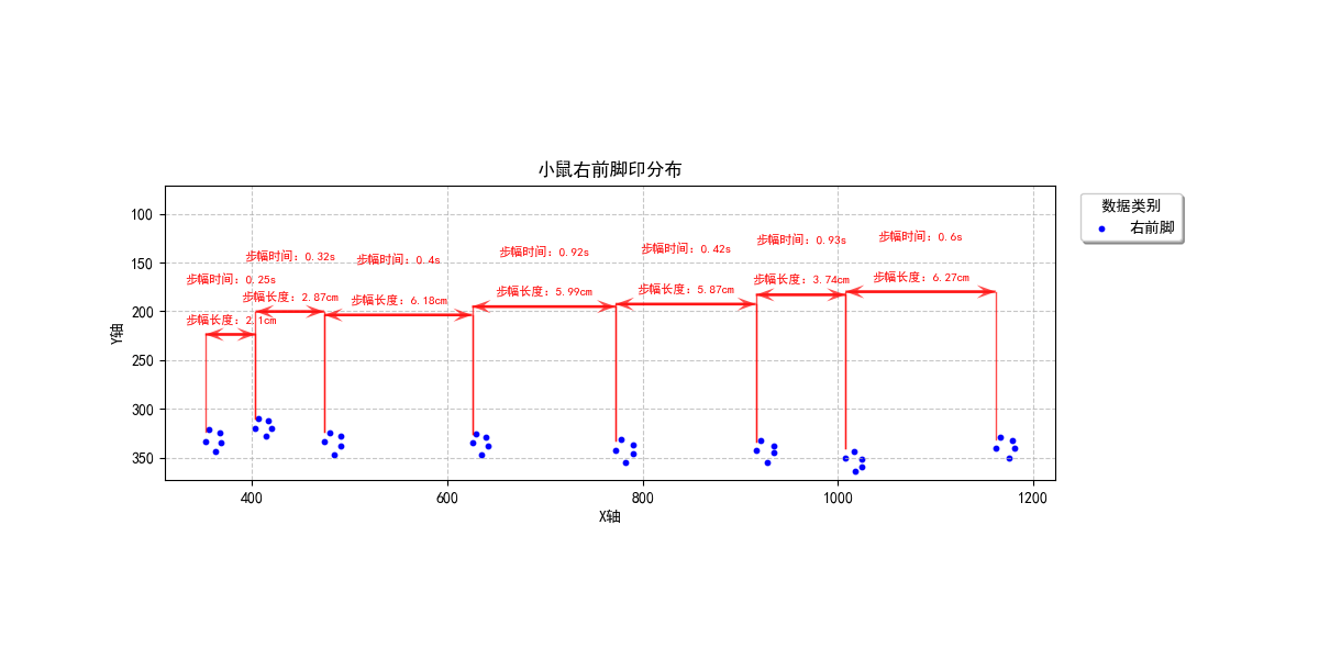 1 步态黑鼠4.png