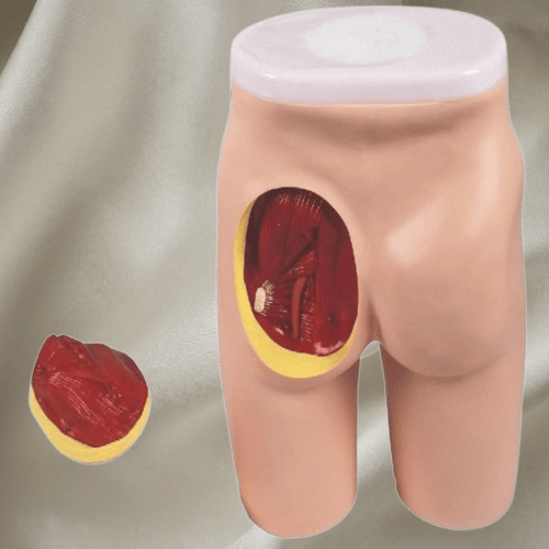 7fff80a-removebg-preview (5).png