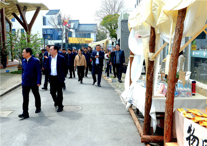 第十七届江苏省乡村旅游节在无锡阳山启动(图5) 第十七届江苏省乡村旅游节在无锡阳山启动(图5)