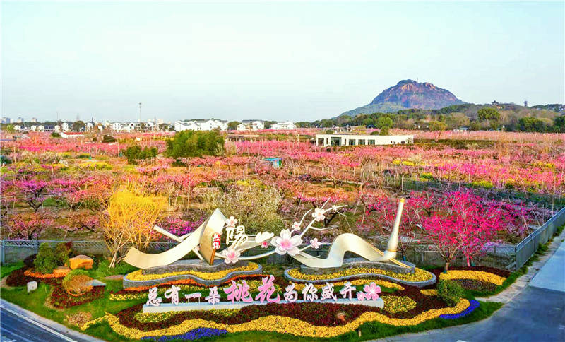 第十七届江苏省乡村旅游节在无锡阳山启动(图7) 第十七届江苏省乡村旅游节在无锡阳山启动(图7)