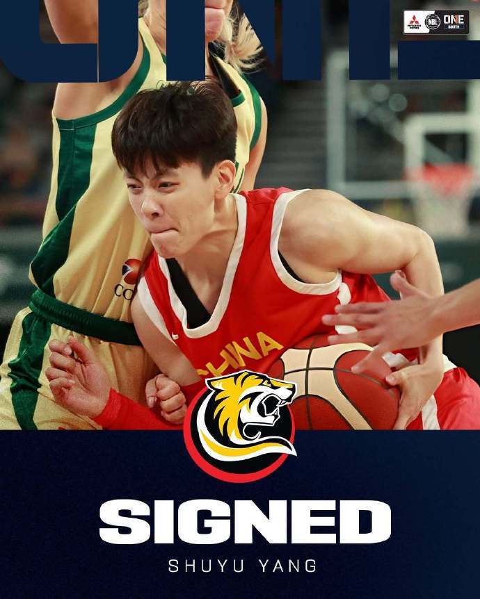 留洋球员+1！杨舒予加盟澳大利亚墨尔本老虎女篮