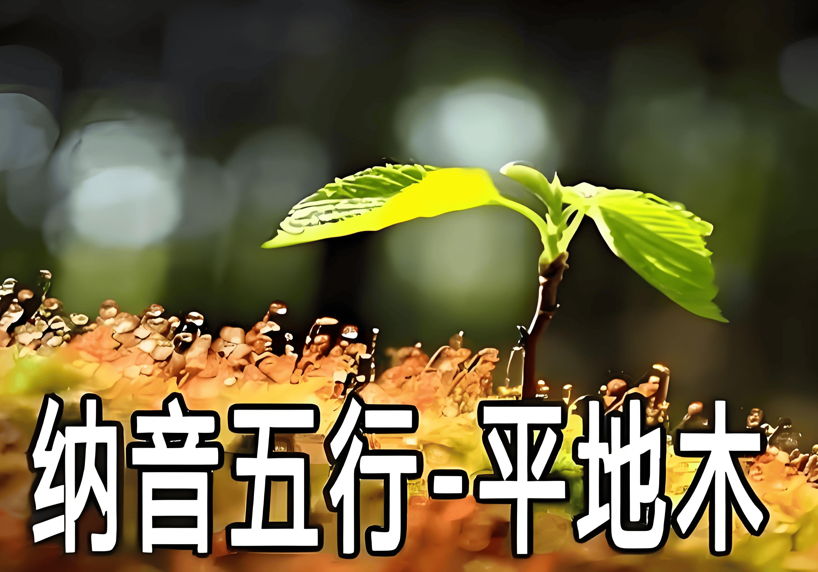 文章配图-1