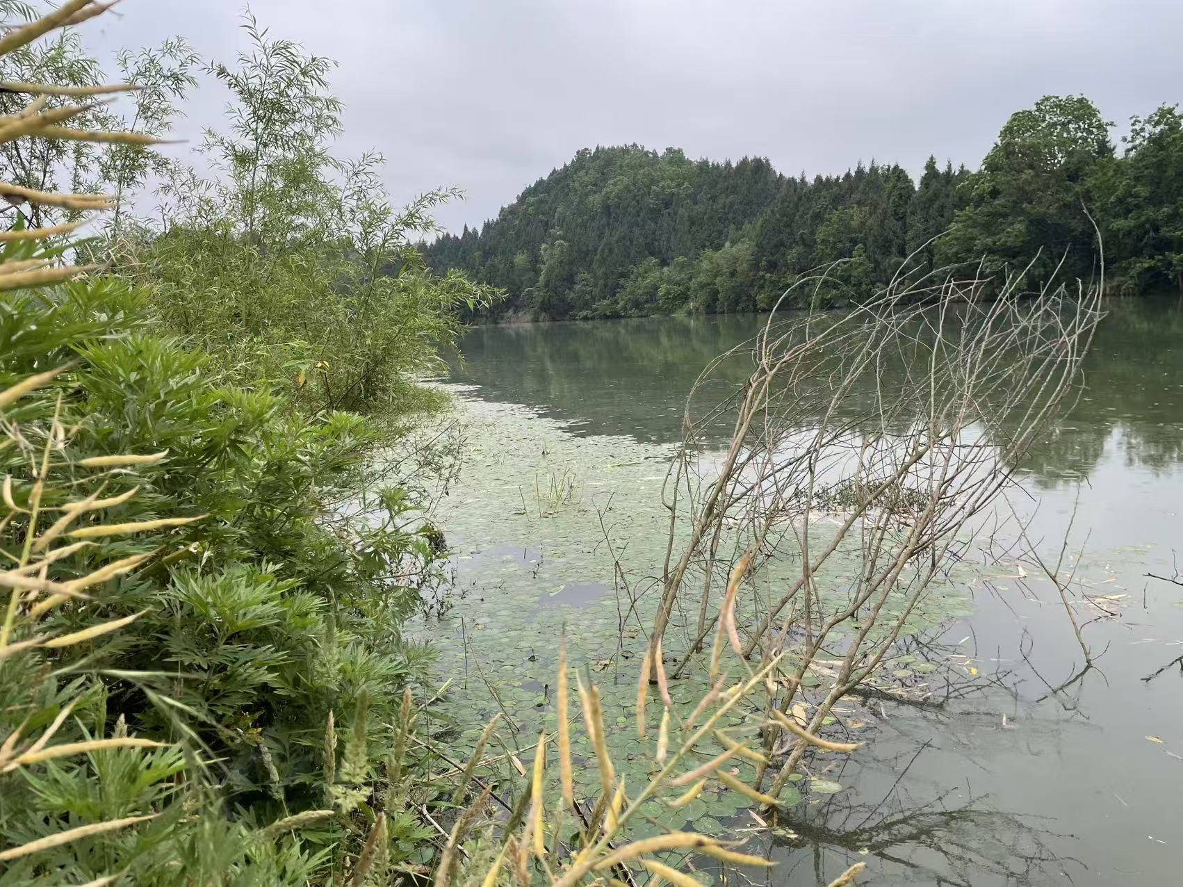 原创            减肥后才懂：高中咋吃都不胖，不是命好是青春在撑