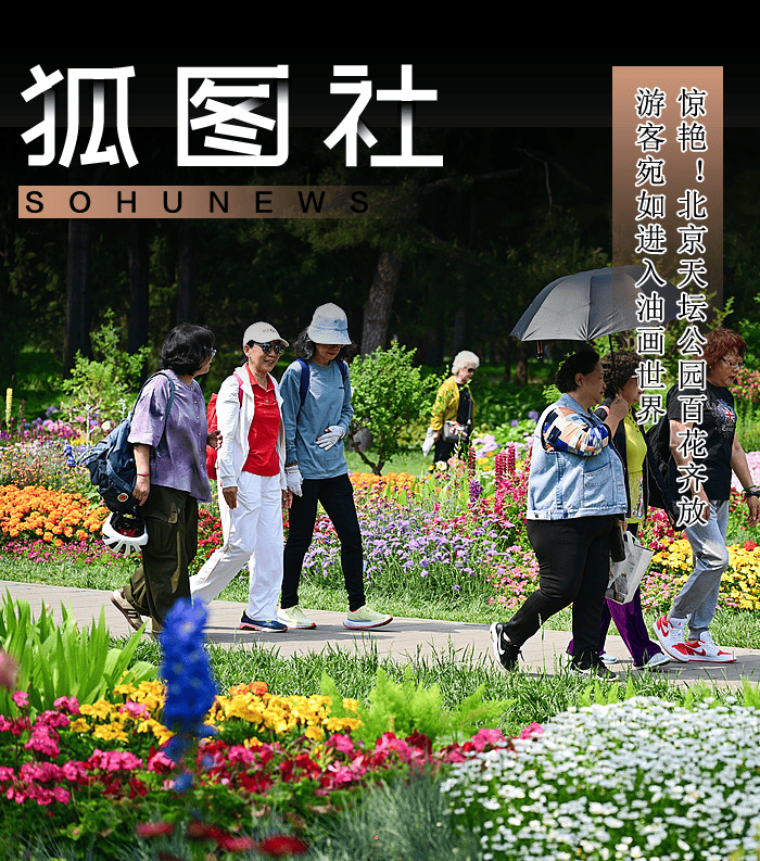 惊艳！北京天坛公园百花齐放 游客宛如进入油画世界