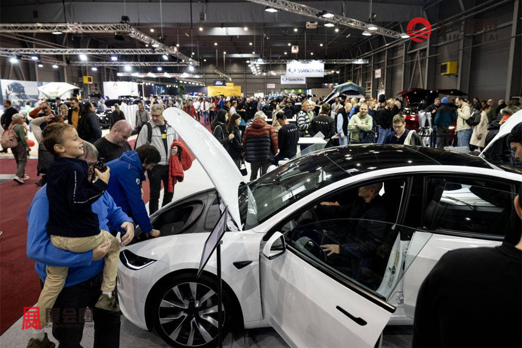 Tesla-2-1024x683.jpg