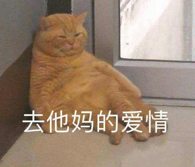 快速找到靠谱另一半？男生明白这6招就好！（心理学干货）