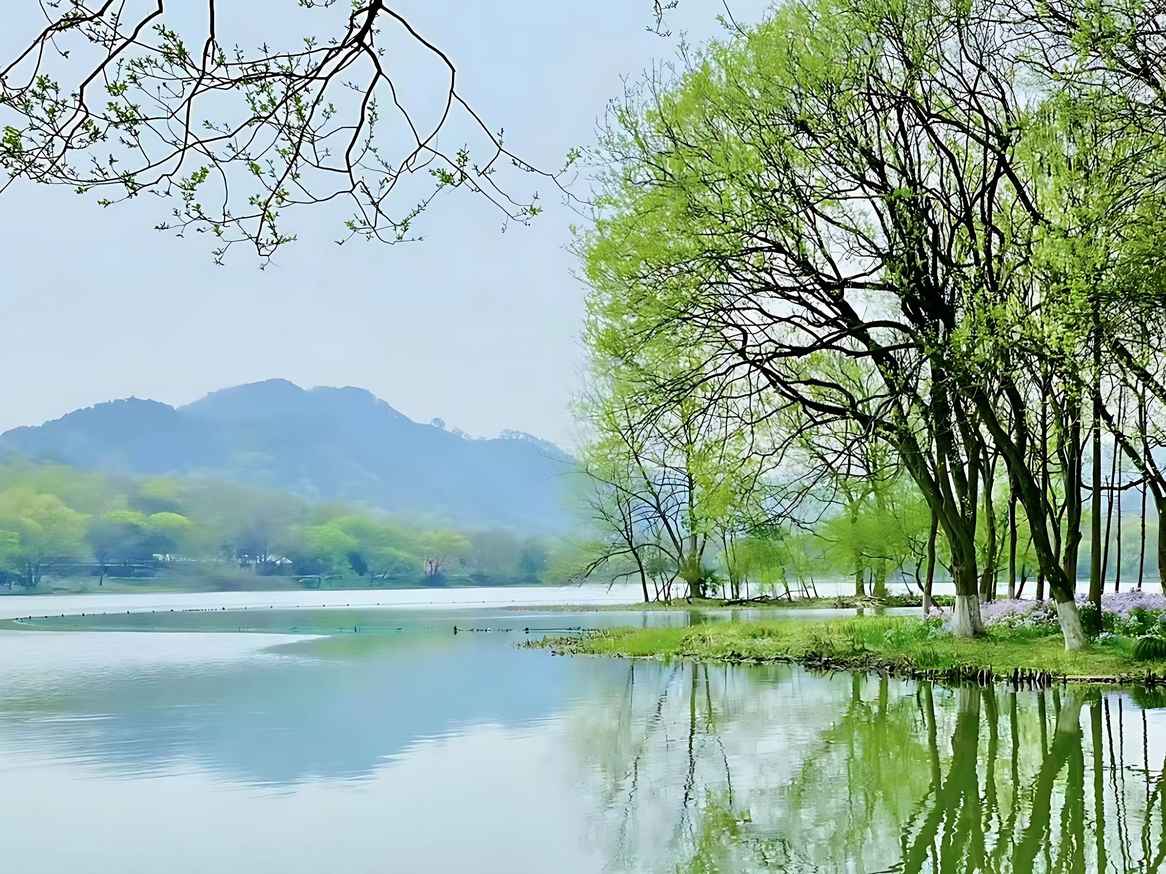 微信图片_20240406210252_修复后.jpg