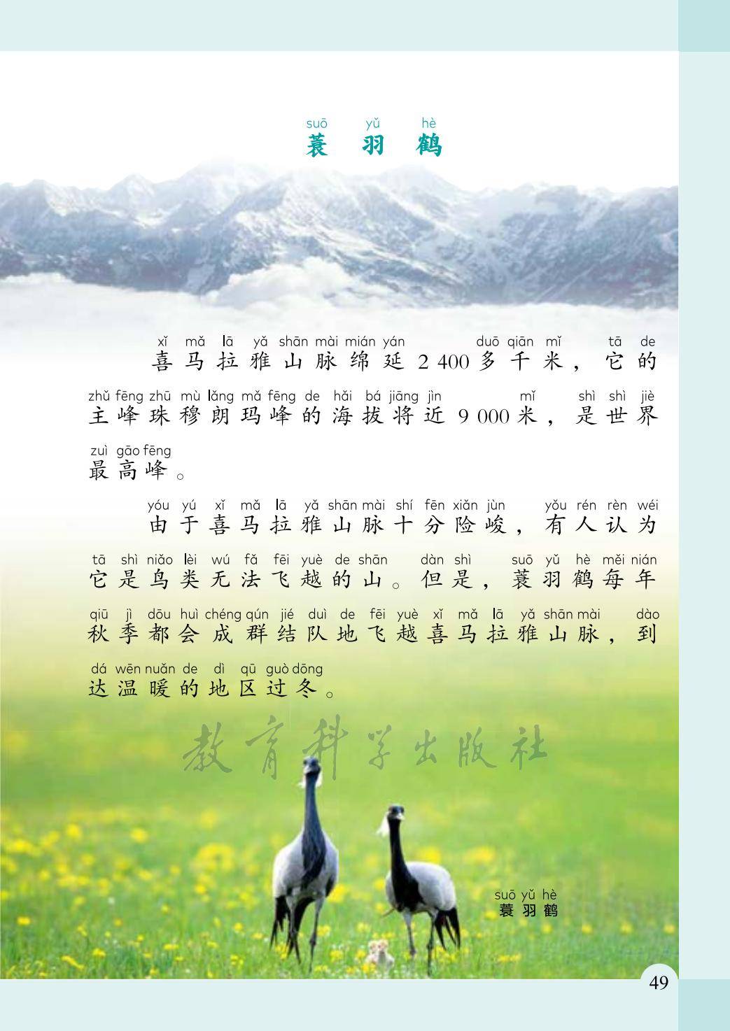 文章配图-1