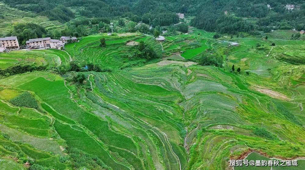 微信图片_20260625191247_7_4.jpg