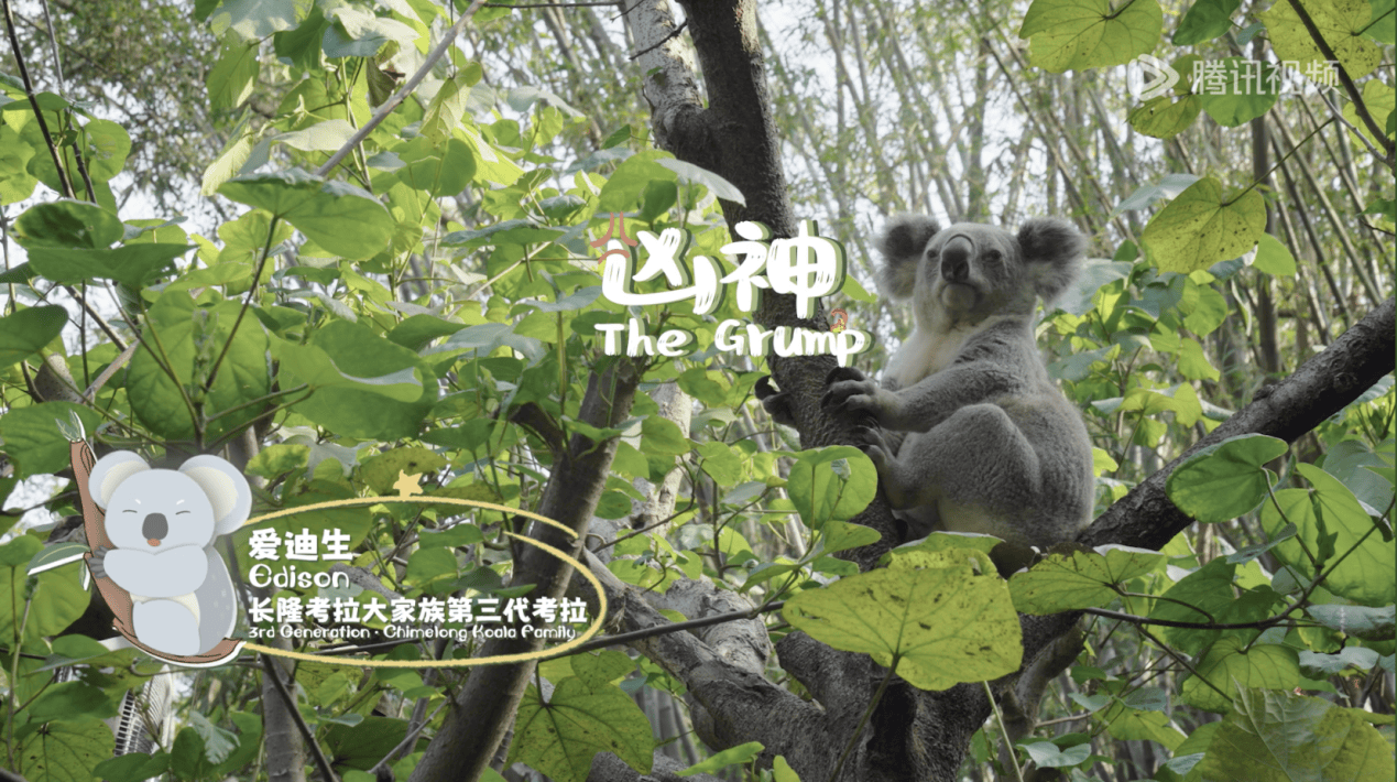图片6.png