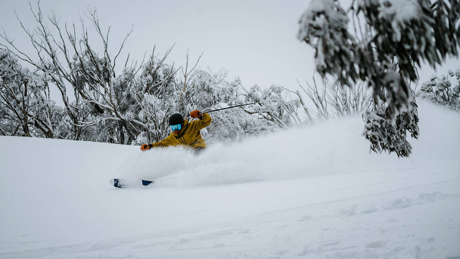 Mount Hotham 滑雪体验.jpg