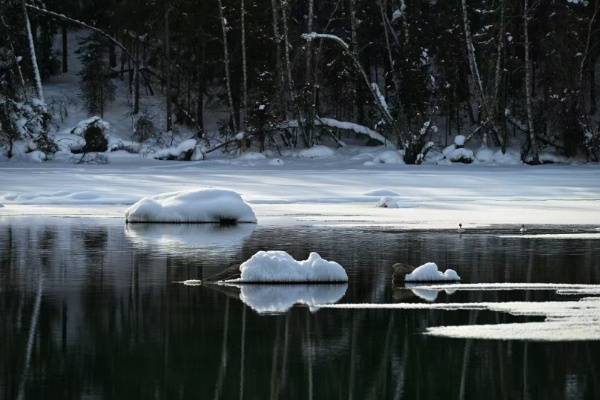 3 (26)_resized.jpg