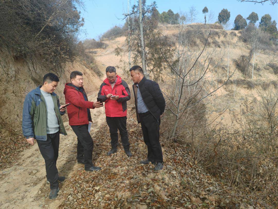 显龙镇扎实开展2023年度国土变更调查耕地流出图斑核查整改工作_整治