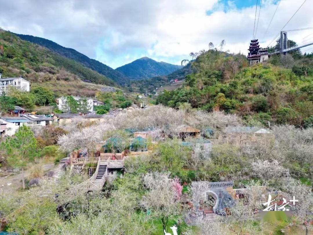 2024年元旦假期云浮文旅市场持续升温_活动_旅游_游客