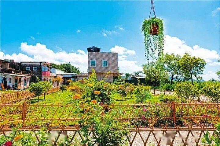 在莲华镇下长宁村,村头巷尾,房前屋后都有因地制宜建设的"四小园",小