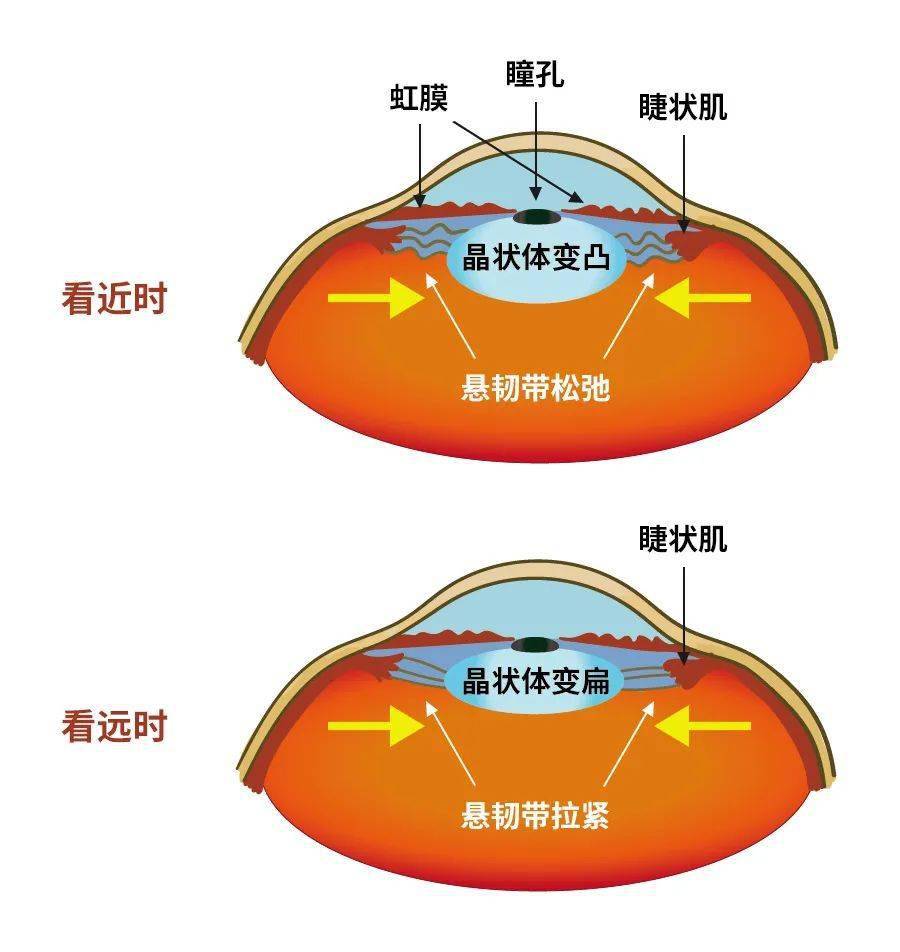 这些有毒的眼镜,你家孩子还在戴吗?