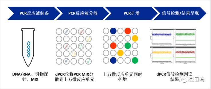 一文讀懂pcr,qpcr,rt-pcr,rt-qpcr和real-time pcr的