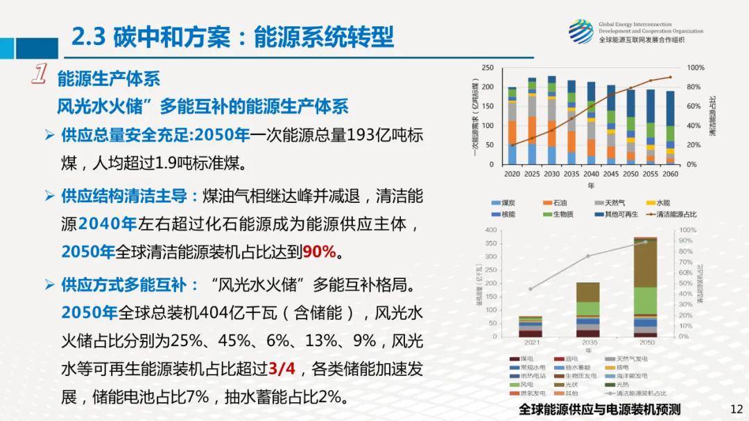 专家报告