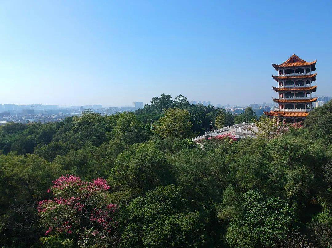 增城这个景点要火了._公园_东区_冬日