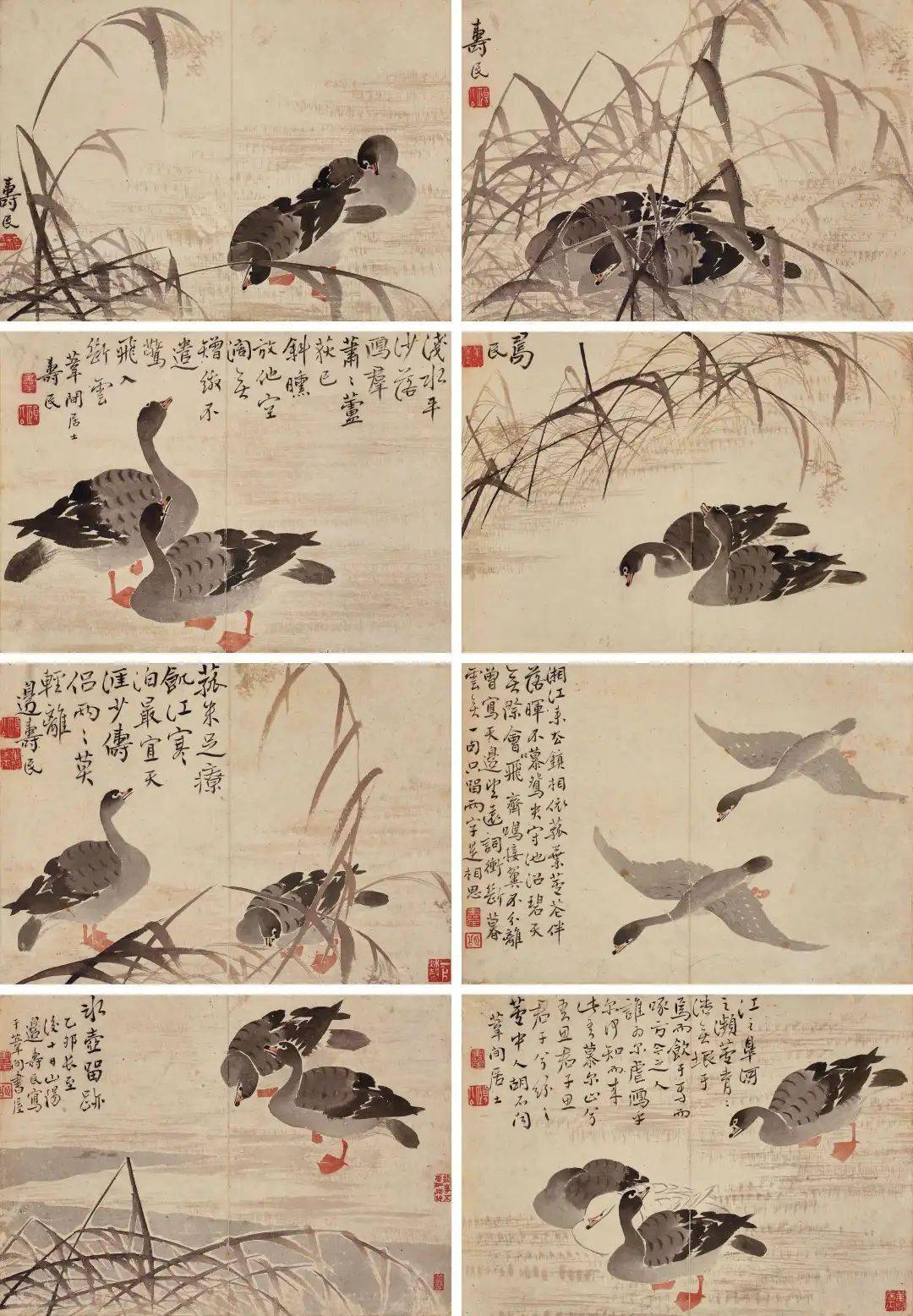 边寿民芦雁图册:浅水平沙落雁群,萧萧芦荻已斜曛_居士_中国_诗词