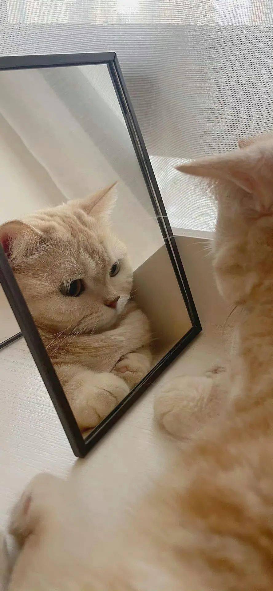 Ů͸˧Ŭ˲ĽҸͥģAPPл