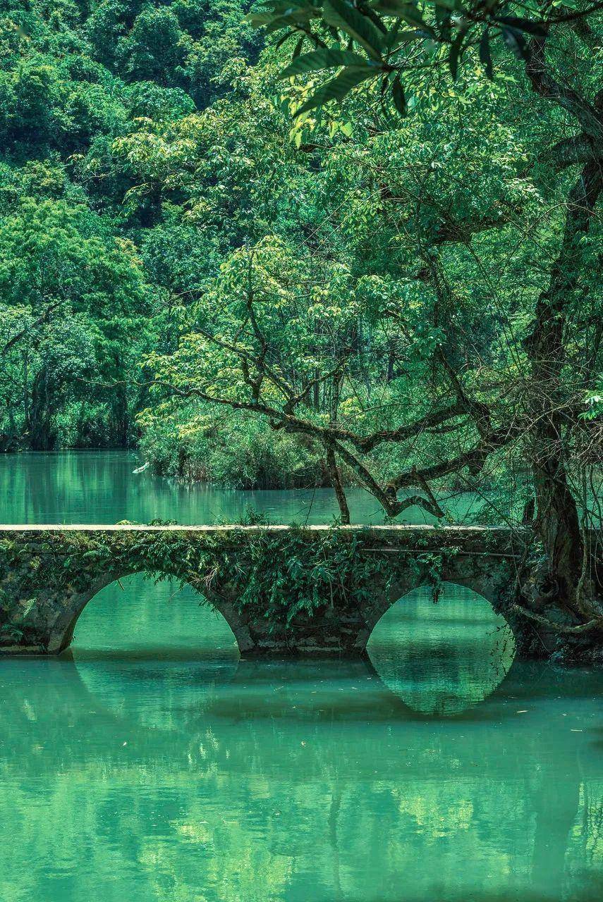贵州荔波,"地球腰带上的绿宝石"_茂兰_瀑布_高山流水
