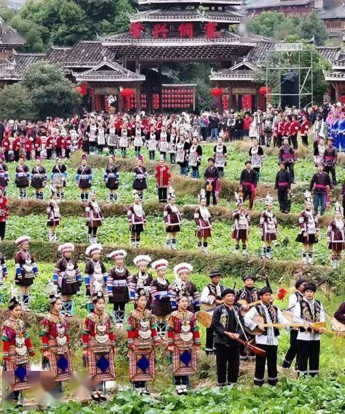 南方小土豆 @東北大凍梨 來貴州,你可以_______雪場_民族_苗年