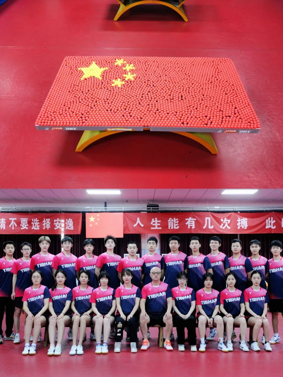 2023年东南大学体育系十大新闻_东大_游泳_运动会