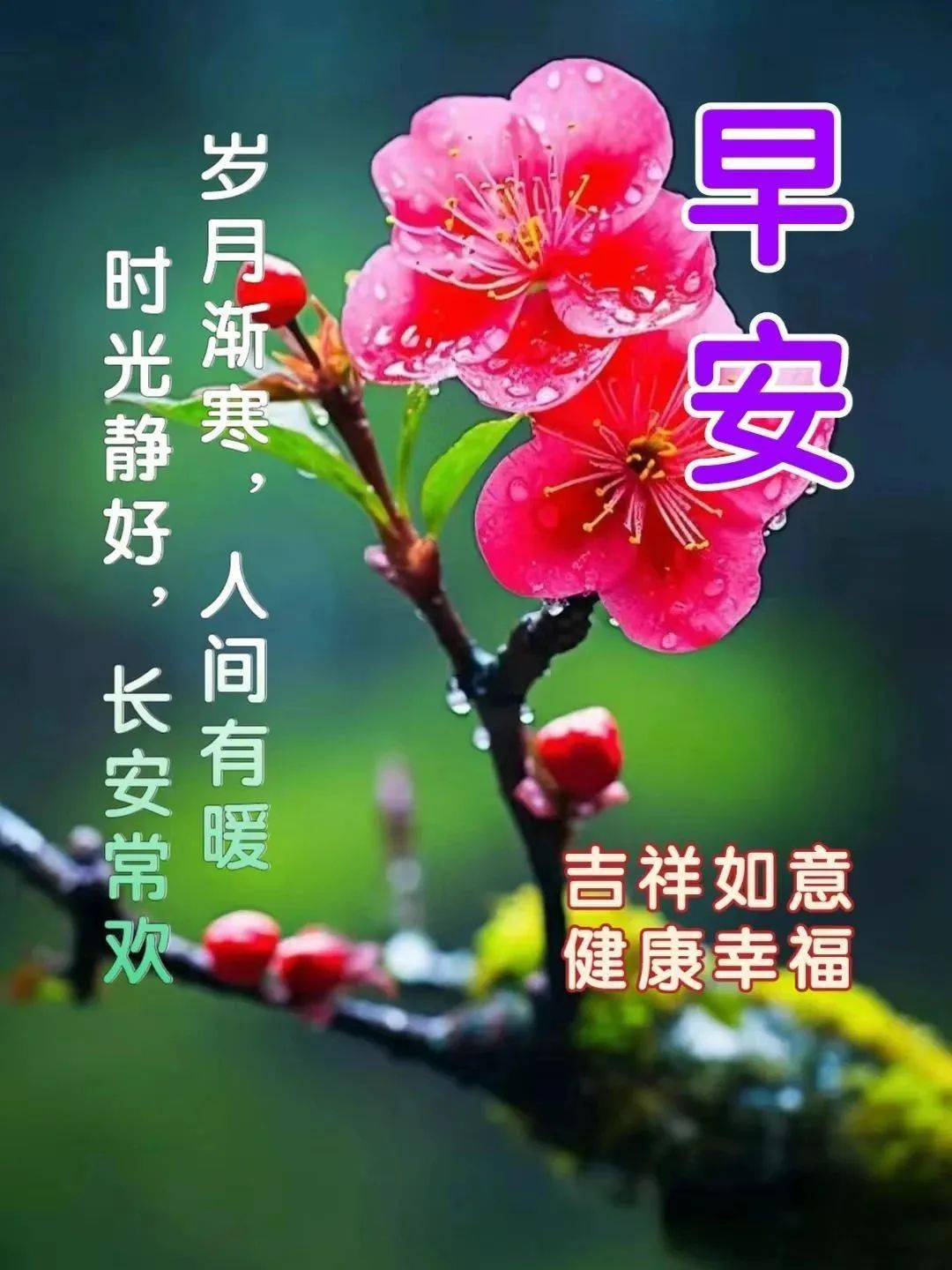 微信漂亮早安祝福问候语大全,天气渐冷,注意保暖