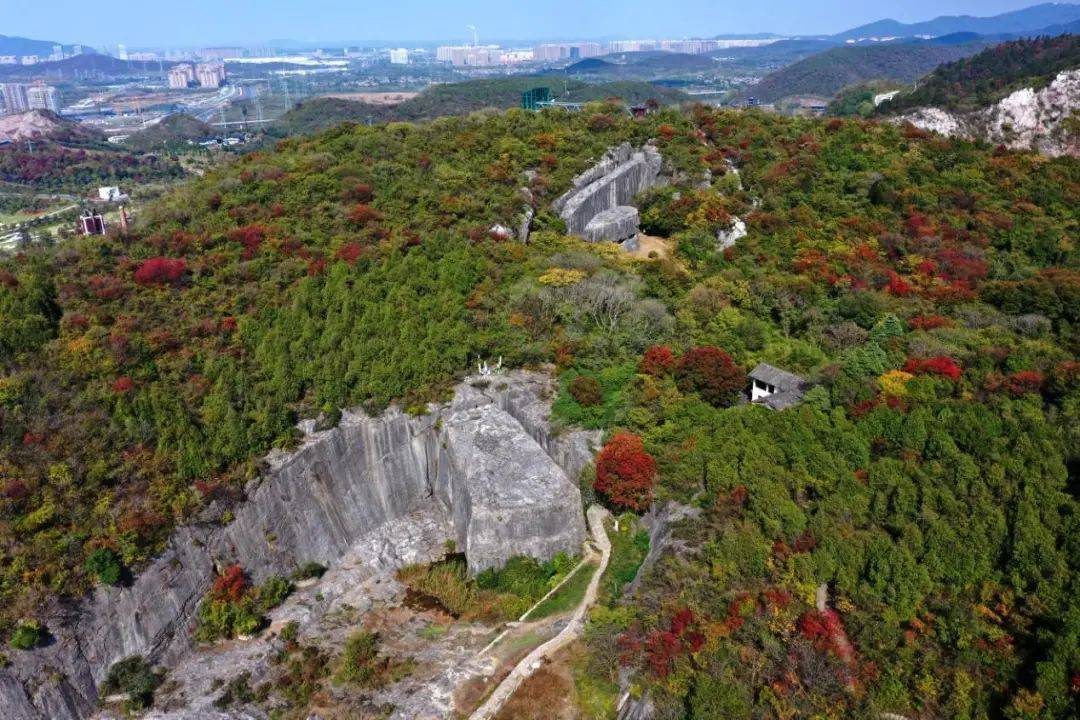 "元石计划"首场论坛举行"阳山碑材"活化有望成又一个南京文化ip_巨石