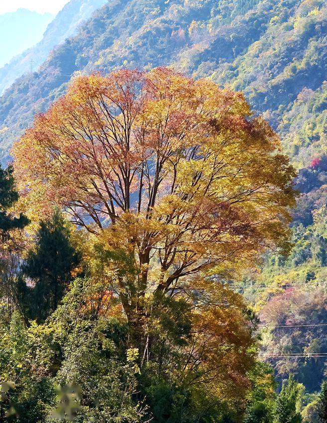 在這裡有一個五彩斑斕的世界~_小城_海拔_北山