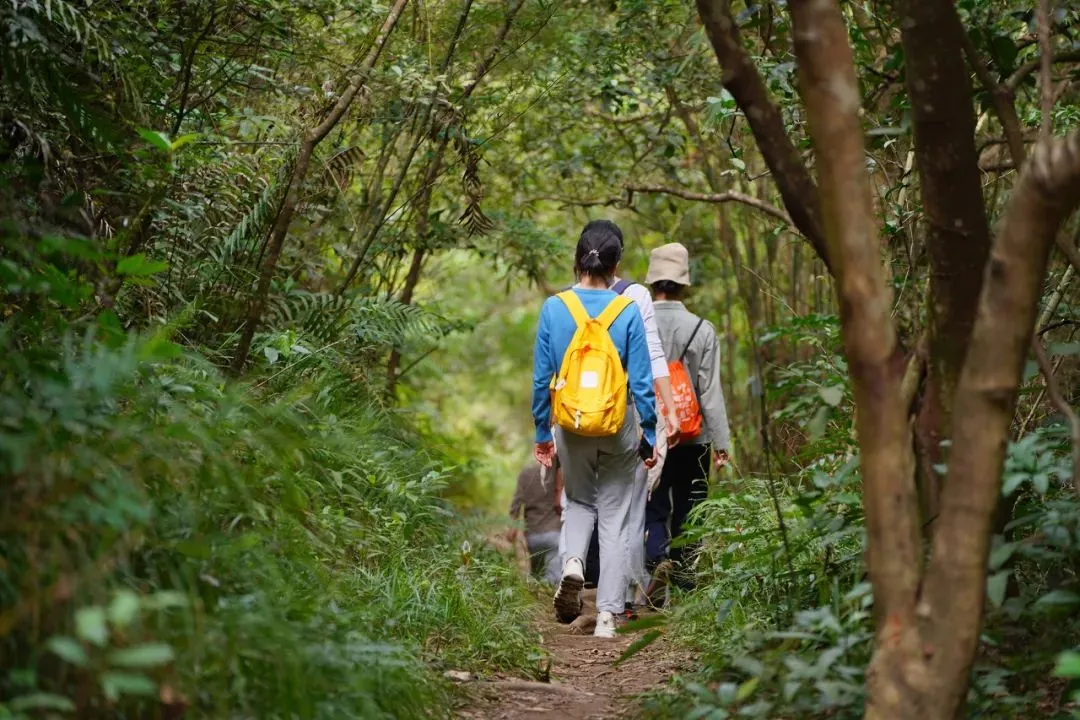 坪山去!① | 坪山遠足郊野徑徒步親子趣味路線,遛娃不謝!