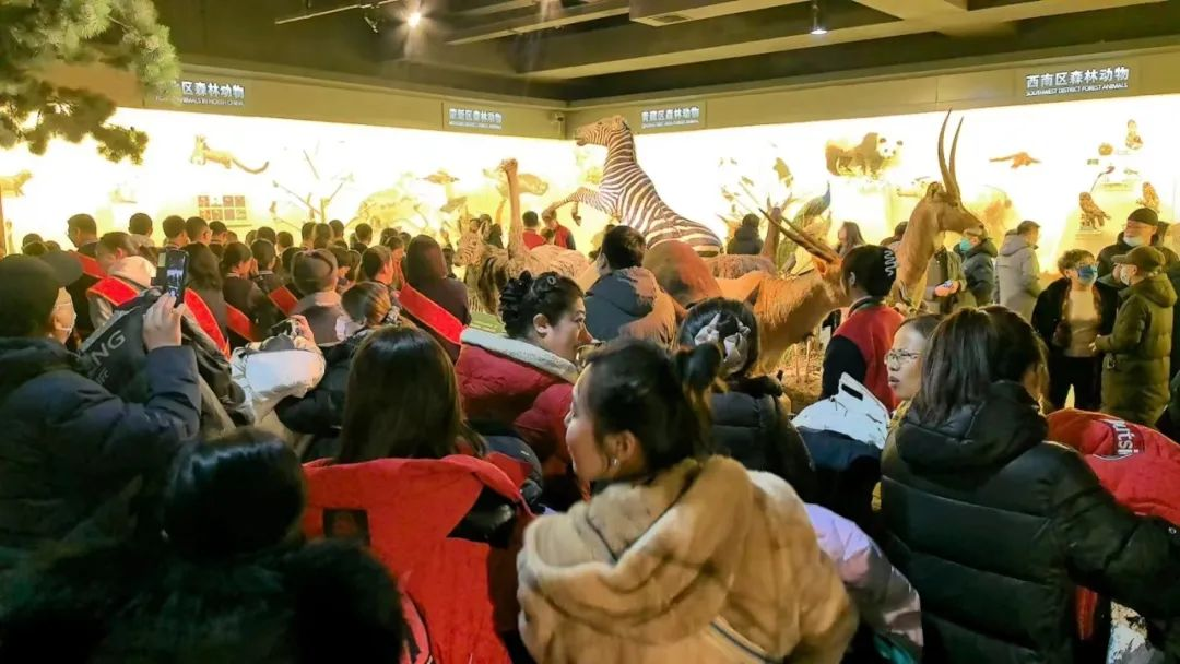参观人数众多据介绍,自11月11日东北林业大学面向公众免费开放博物馆