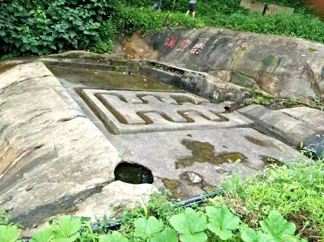 【美丽四川】走近泸县龙贯山‖杨光英_螺贯_十八口_脚印