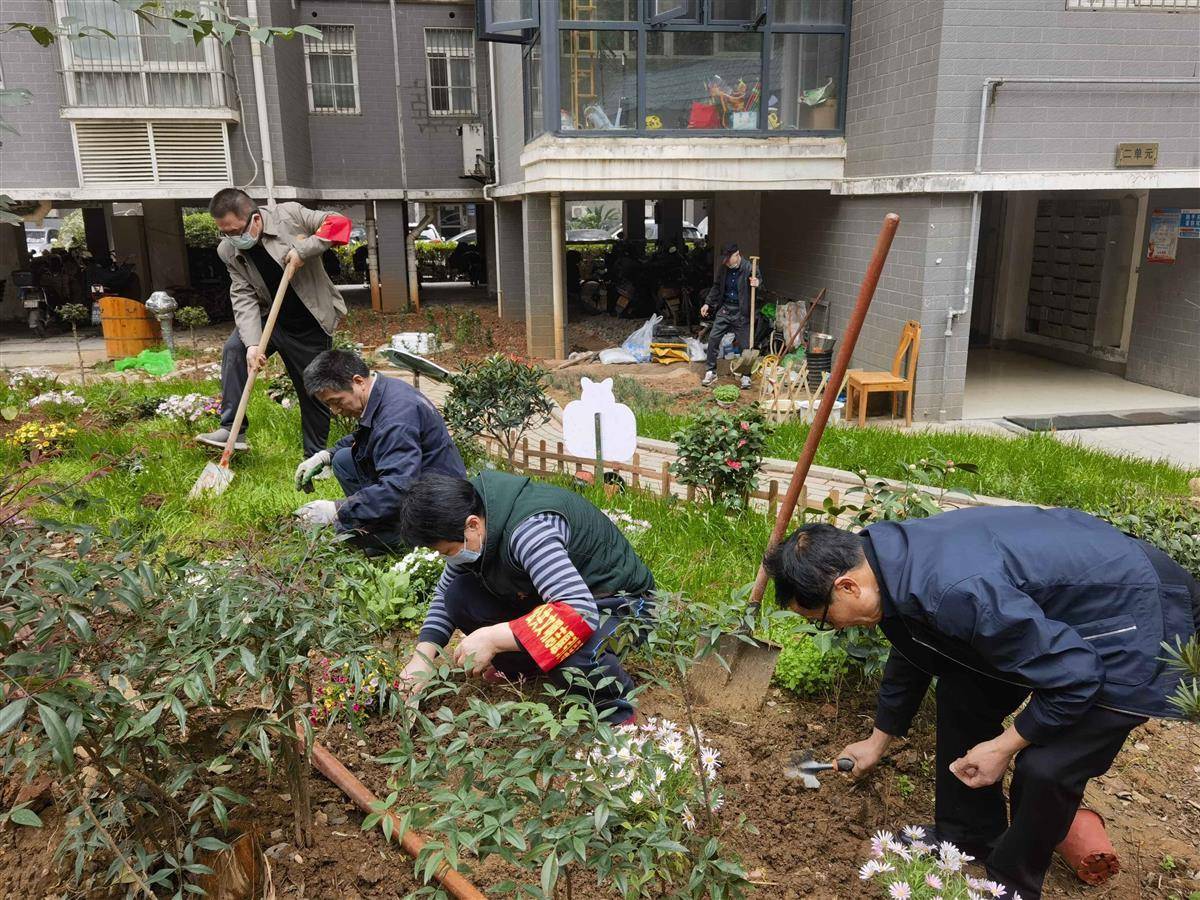 社区有个花草研究院志愿队，携手把杂草地变成美丽花园，“桃源经验”得到更多推广应用