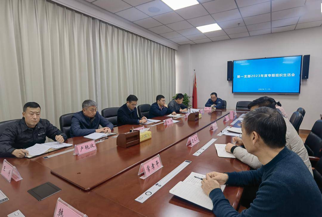 市委常委,组织部部长杨炯以普通党员身份参加所在党支部专题组织生活