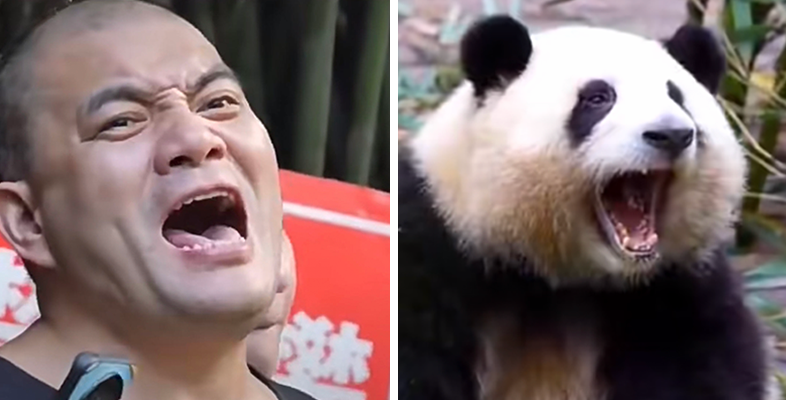 爷爷_北京_熊猫