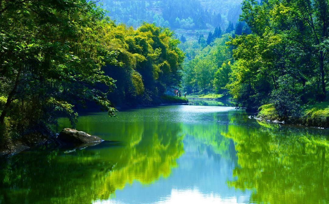 山绿水清!丰都奋力书写"共抓大保护"高分答卷