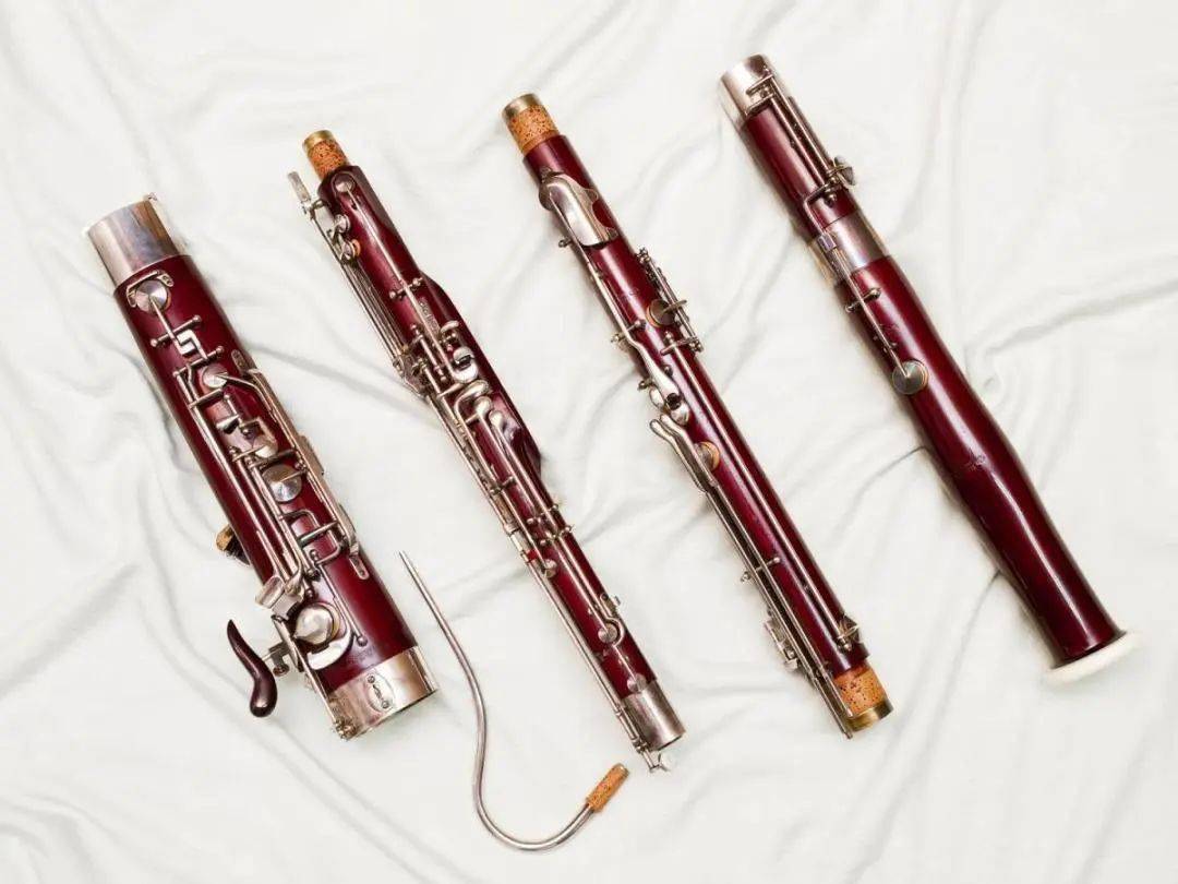 苏交乐器工坊新年第一讲:探索交响乐团中的宝藏"暖男"的魅力_大管