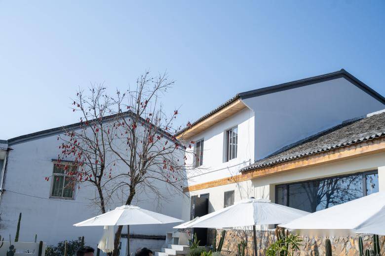 浙派民居建设专家团走进瑞安平阳坑镇_风貌_温州_绿化