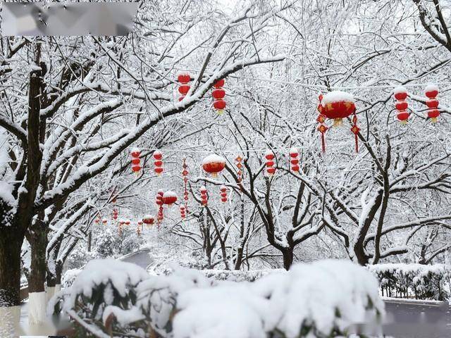 明日腊八入四九,"腊八四九雨雪飘,天寒地冻乐逍遥",有啥说法_天气_九