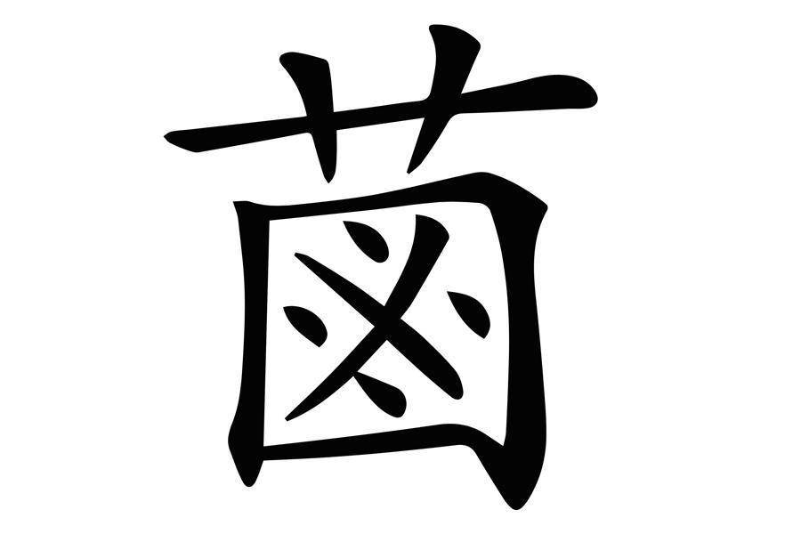 《说文解字》第767课:"米田共"的"粪"字表示"大便"的由来_ban_小篆_本
