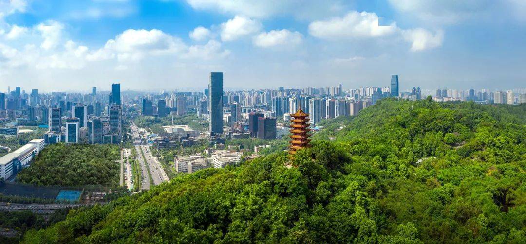 快来两江新区"追星"_软件_企业_工业