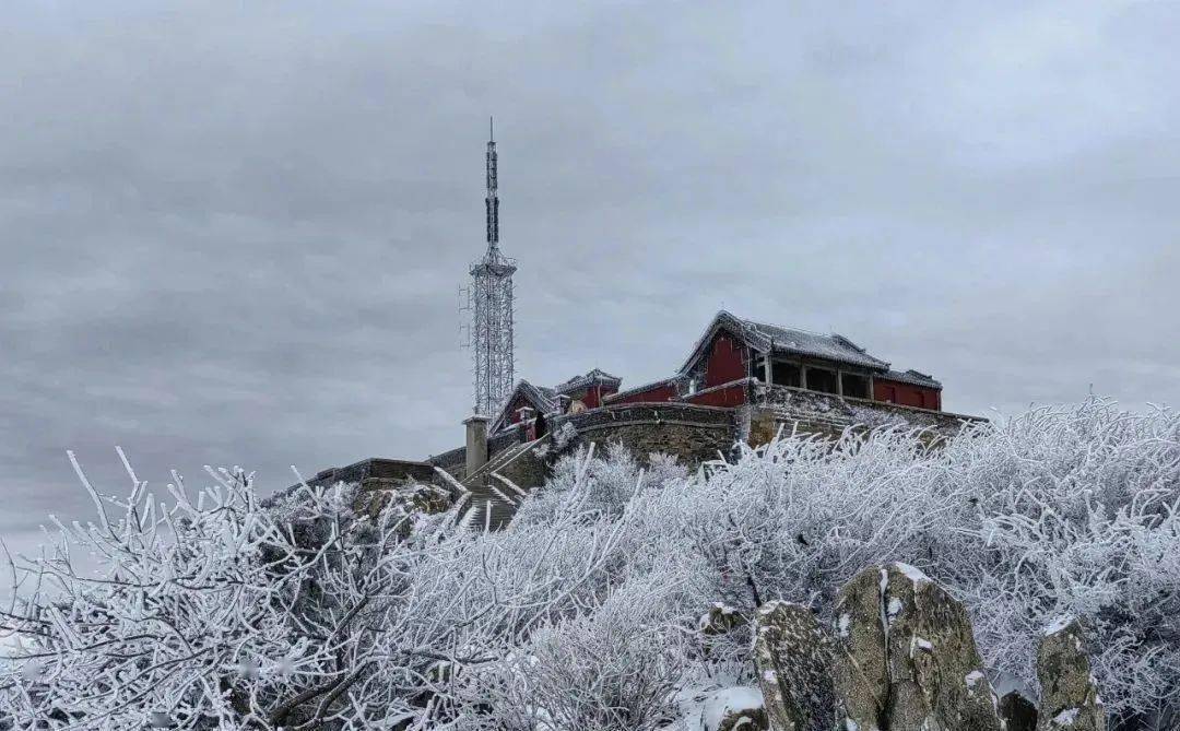 泰山迎來2024年第一場雪紛紛揚揚的雪花從天而降漫山玉樹瓊枝,如詩