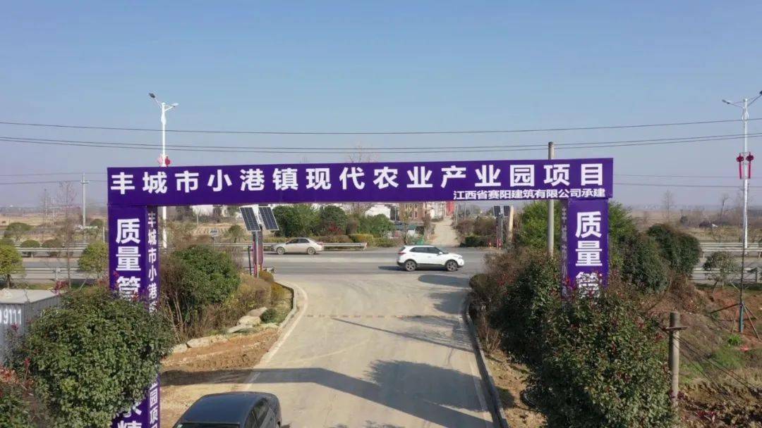 豐城首家!規模最大的基地建在這裡!_建設_生產_溫室