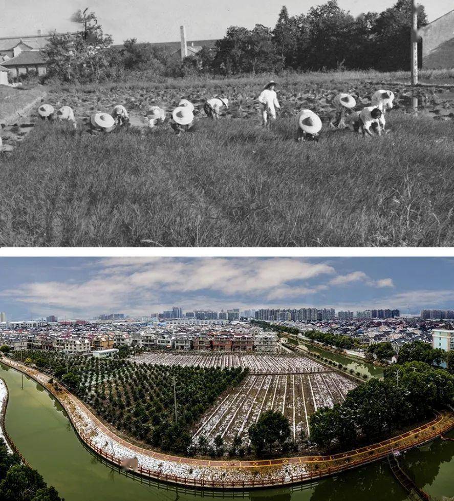 一组老照片,带你领略松江这里的变迁_下图_九亭镇_公路