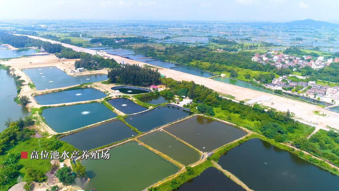 埠場鎮以建設國家海洋牧場試點為契機,依託山外東村,山