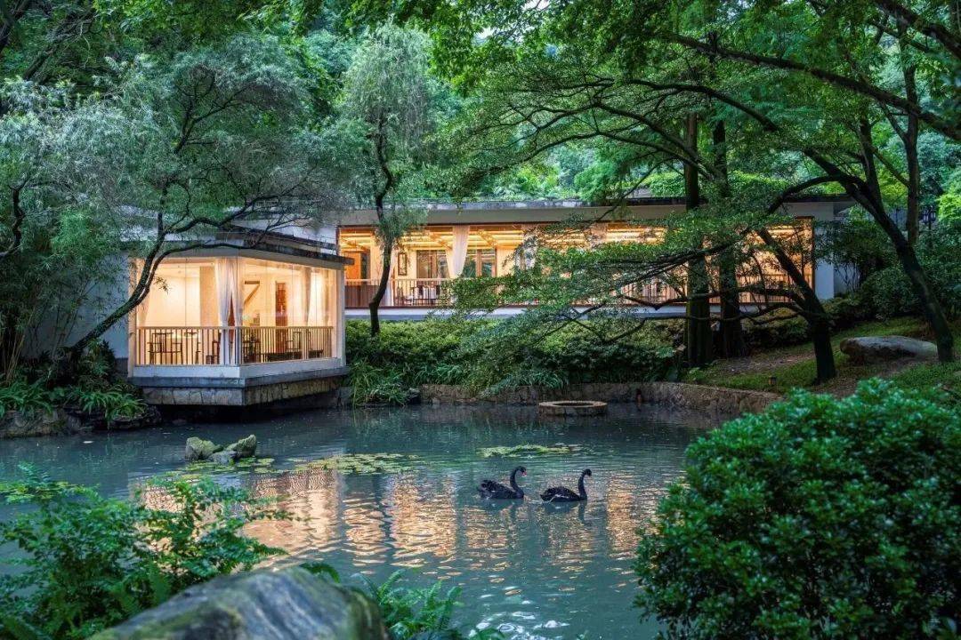 今年的晚宴地点选在白云山顶别具特色的国宾馆山庄旅舍,诗情画意的