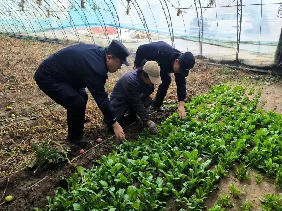 石柺區近日,石柺區公安分局喜桂圖新區派出所民警開