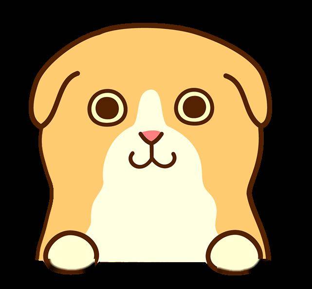 接种_伤口_处置